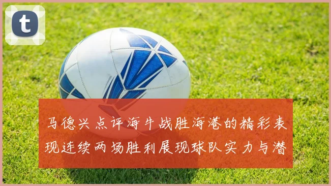 马德兴点评海牛战胜海港的精彩表现连续两场胜利展现球队实力与潜力
